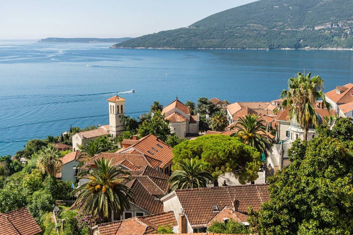 Kotor Speed Boat Tours Herceg Novi Savine Winery Kotor Bay